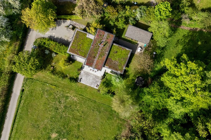 Ein Rückzugsort der Extraklasse:  Die direkte Waldrandnähe und  die exklusive Architektur machen dieses Anwesen zu einer seltenen Gelegenheit.