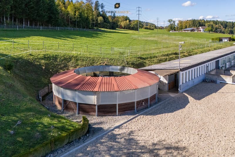 Die überdachte Kraft-Führanlage für sechs Pferde (Ø ca. 15.5 m) mit Horsewalker-Gummiboden hält die Pferde bei jedem Wetter in Bewegung, nahe beim Stall.