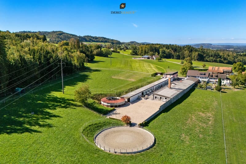Reitsportzentrum - ein Anwesen für Pferde, Menschen und grosse Ideen.