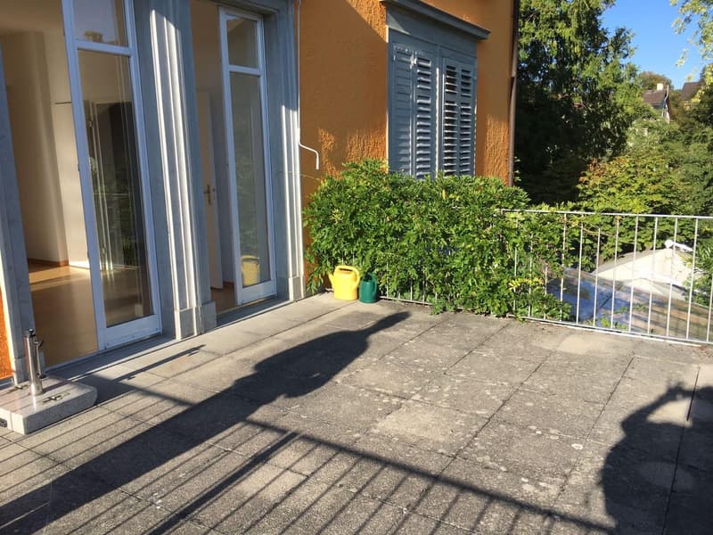 Appartamento di 2,5 locali con grande terrazza a Winterthur (5)