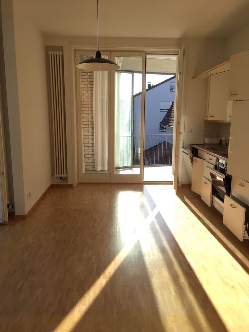 Appartamento di 2,5 locali con grande terrazza a Winterthur (3)