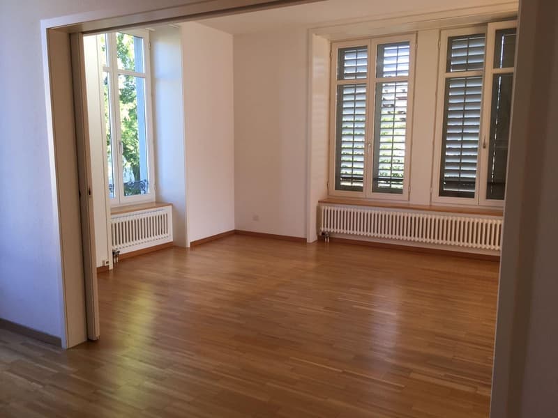Appartamento di 2,5 locali con grande terrazza a Winterthur (2)