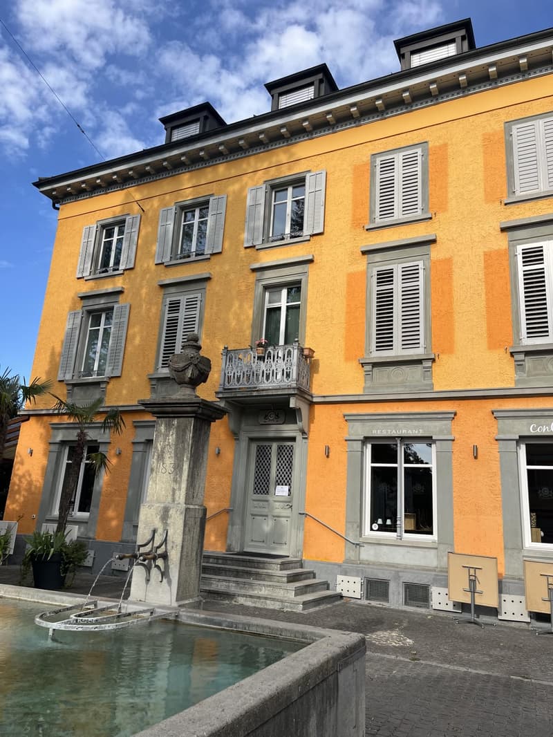 Appartamento di 2,5 locali con grande terrazza a Winterthur (1)