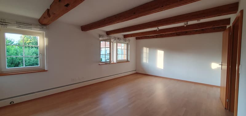 7.5-Zimmer-Hausteil auf 3 Etagen in Winterthur-Seen  hell, gemütlich und zentral (4)
