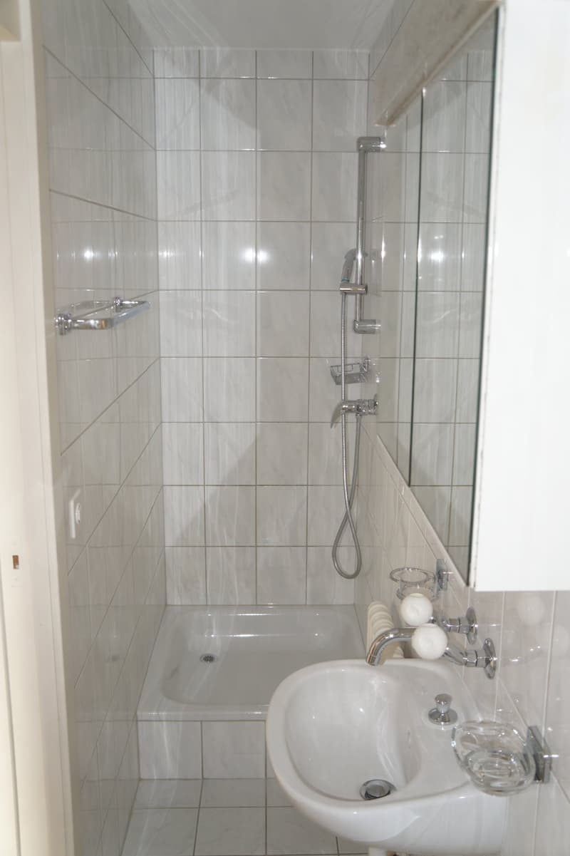 1 appartamento monostanza (6)