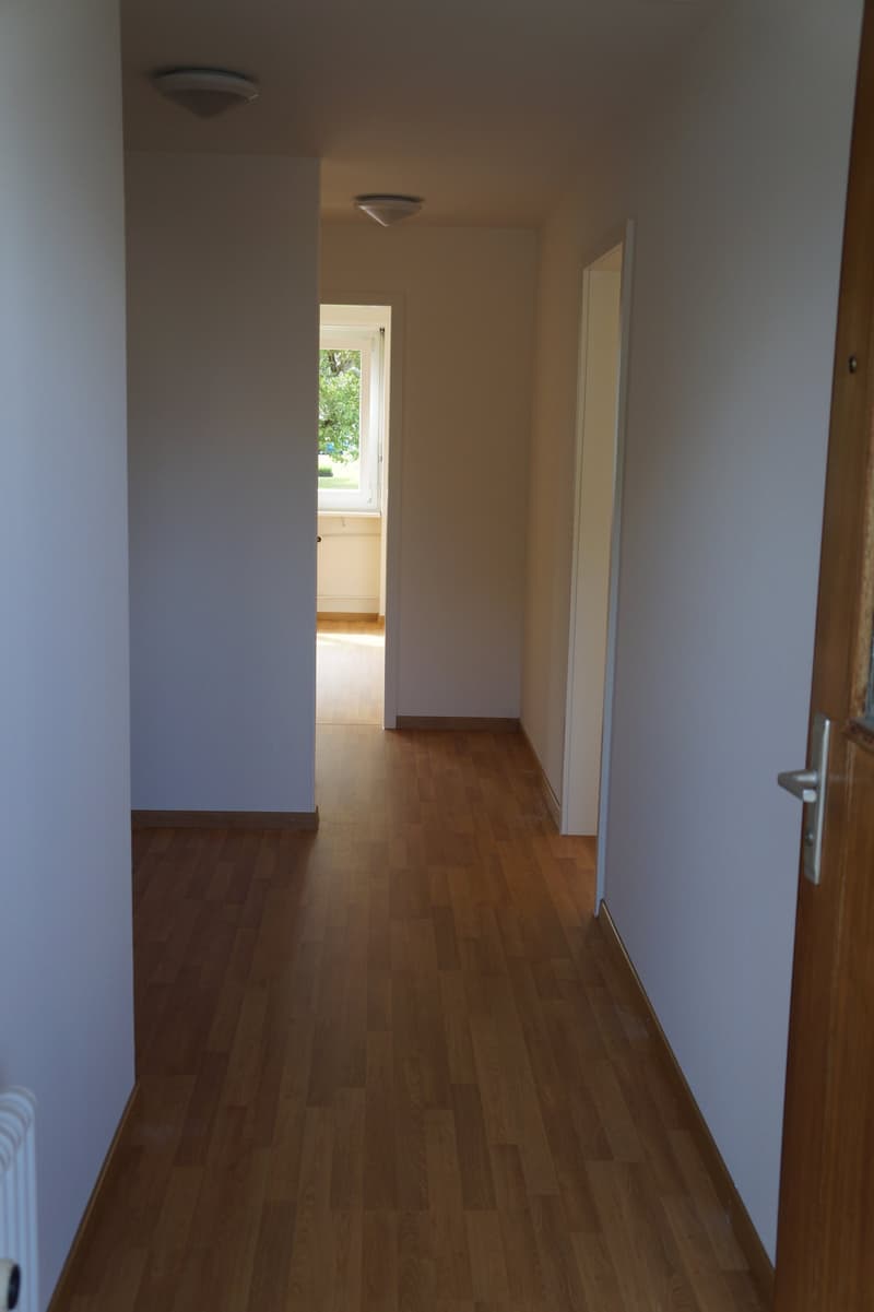 Ampio appartamento 2.5 locali situato in posizione soleggiata (4)