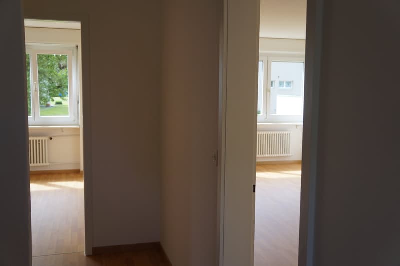 Ampio appartamento 2.5 locali situato in posizione soleggiata (11)