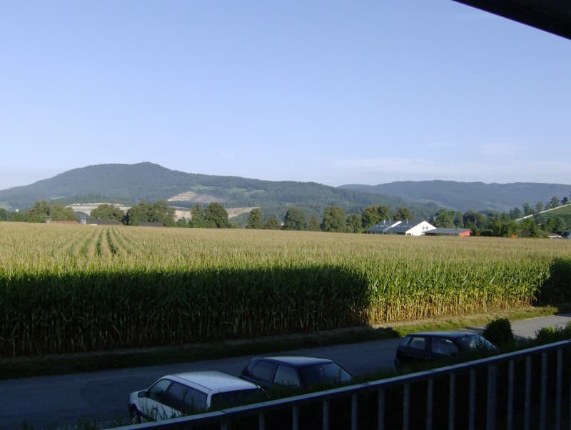 Ampio appartamento di 4.5 locali con vista sul Jura (2)