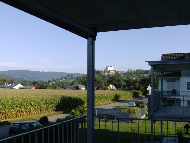 Ampio appartamento di 4.5 locali con vista sul Jura (1)