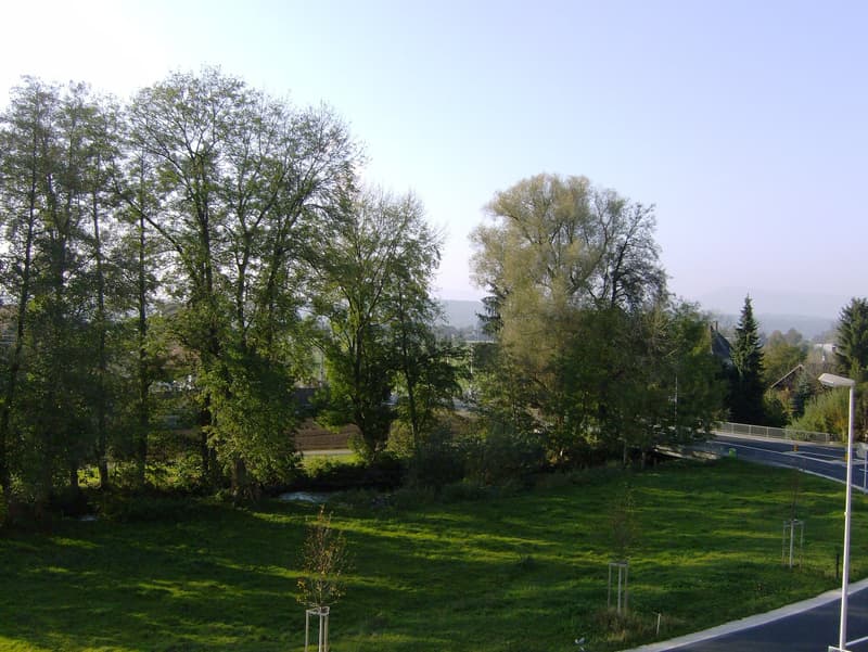 Helle 3.5 Zimmer Wohnung mit grossem, sonnigem Balkon (2)
