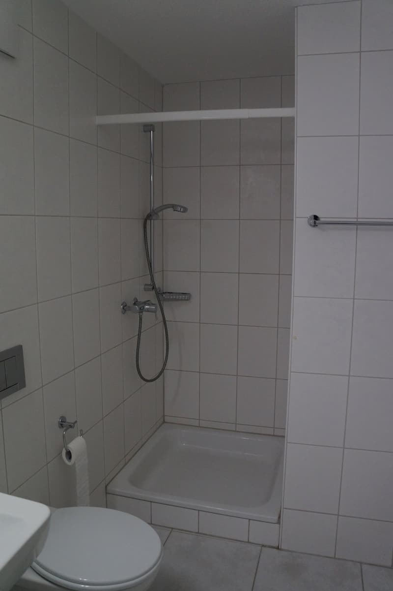 Helle 3.5 Zimmer Wohnung mit grossem, sonnigem Balkon (11)