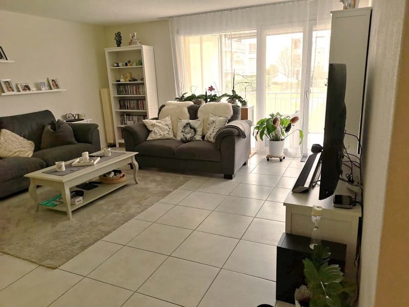 Helle 3.5 Zimmer Wohnung mit grossem, sonnigem Balkon (8)