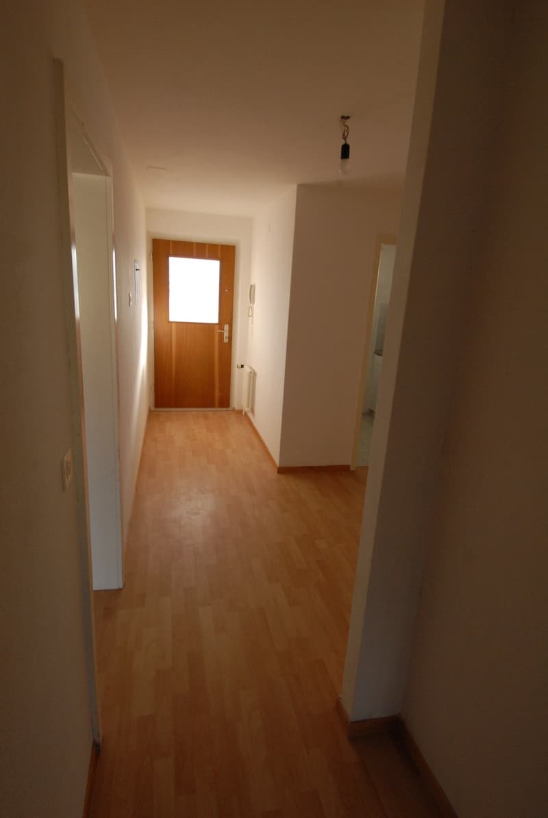 Grosse 2.5 -Zimmerwohnung sonnig gelegen (8)