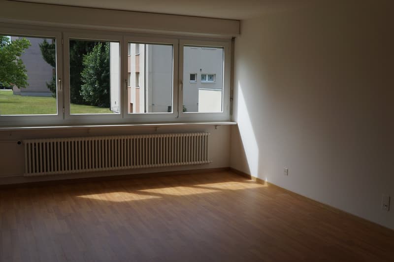 Grosse 2.5 -Zimmerwohnung sonnig gelegen (2)