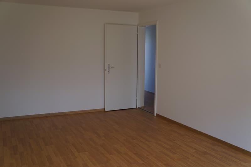 Grosse 2.5 -Zimmerwohnung sonnig gelegen (4)
