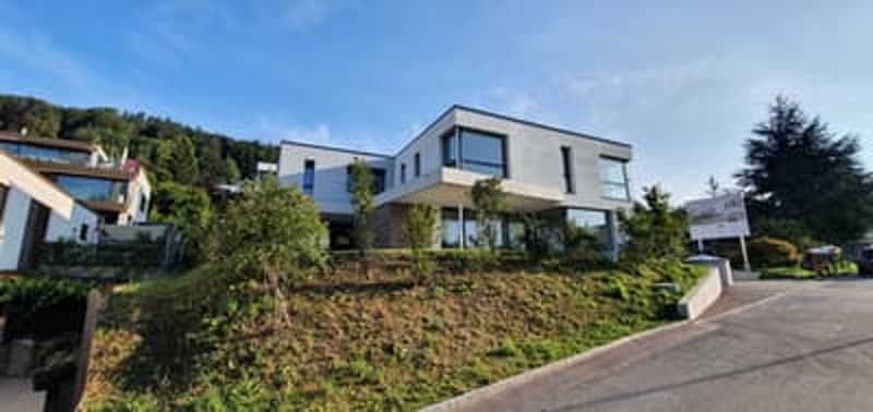 Modern house in top location with view of the Säntis on the Sonnenberg (1)
