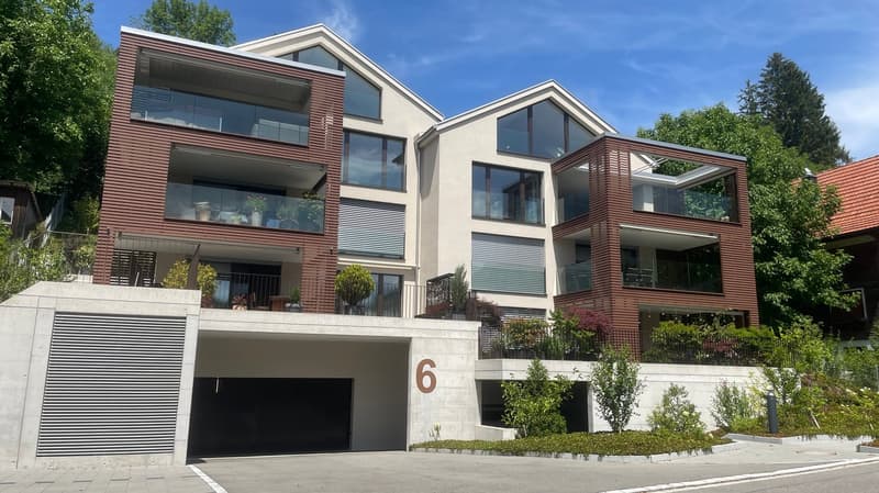 Spektakuläre 5 1/2 Zi.-Dach.-Maisonettewohnung mit grandioser Aussicht auf den Alpstein (4)