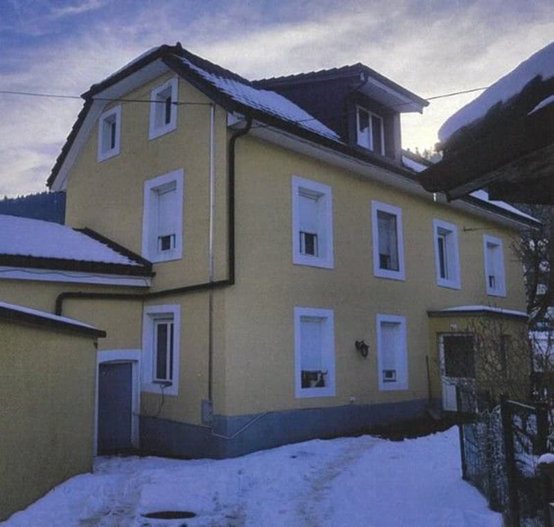 *House with two apartments* (7)