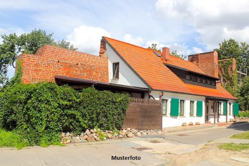 *Farmhouse with 2 apartments and stable part* (1)