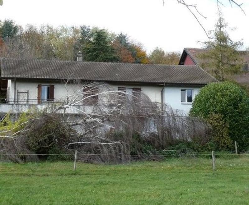 *Villa with 2 Apartments in Echichens* (3)