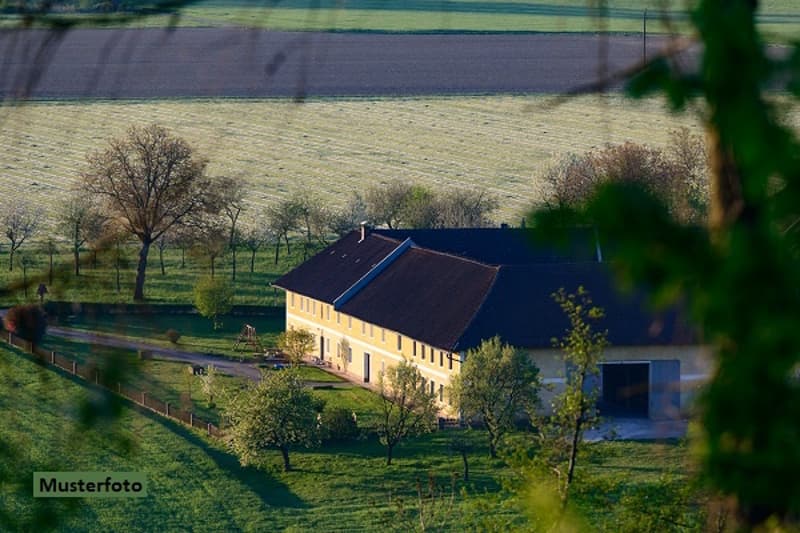 *Bauernhaus mit 2 Wohnungen und Stallteil* (1)