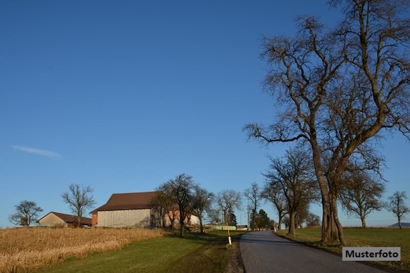 *Bauernhaus mit 2 Wohnungen und Stallteil* (1)