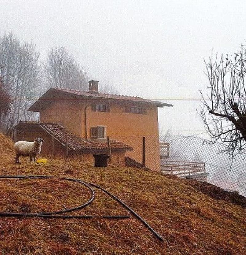*Abitazione unifamiliare e giardino* (2)