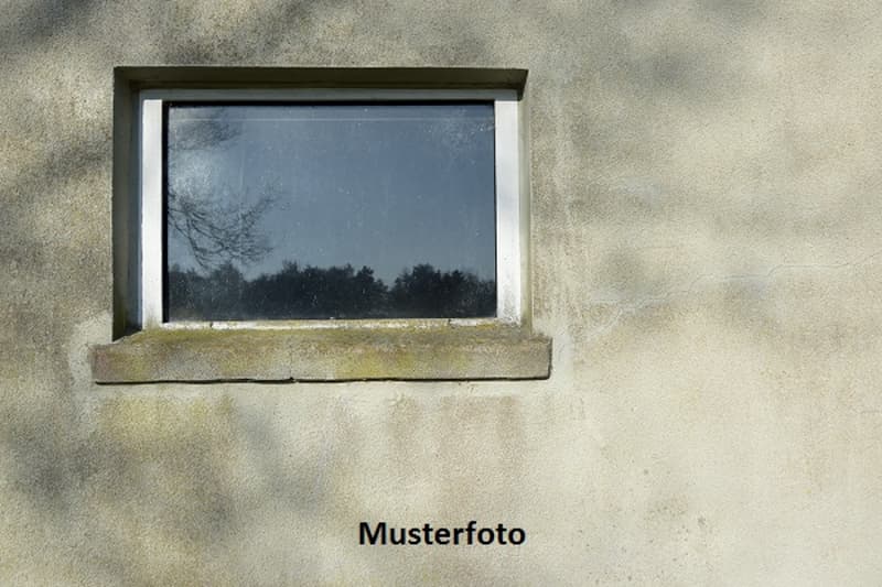 *Einfamilienhaus* (1)