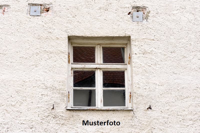 *Einfamilienhaus* (1)