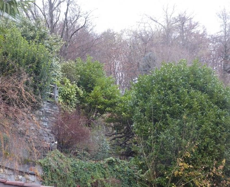 *Bosco, prato/campo* (3)