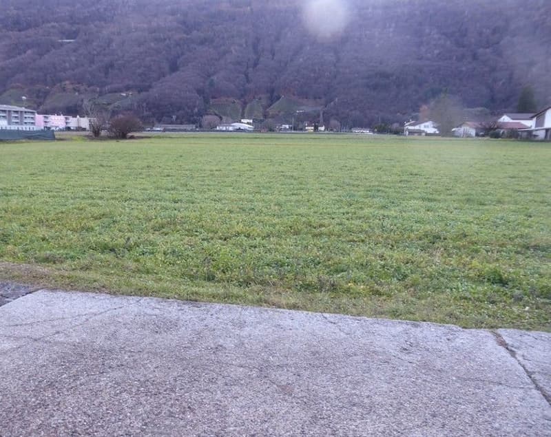 *Bosco, prato/campo* (2)