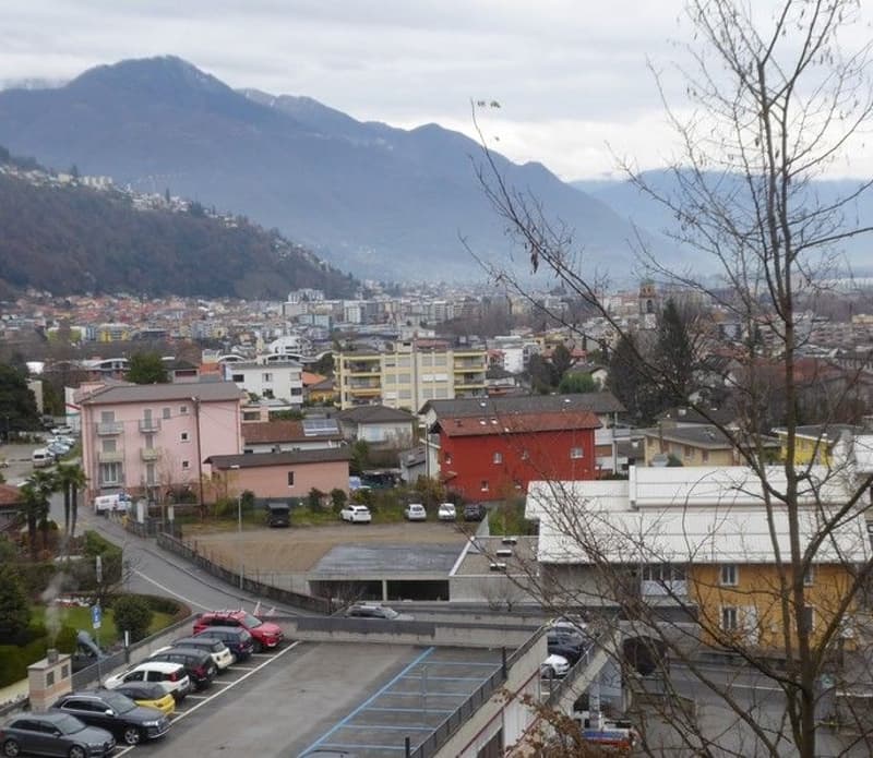 *Bosco, prato/campo* (4)
