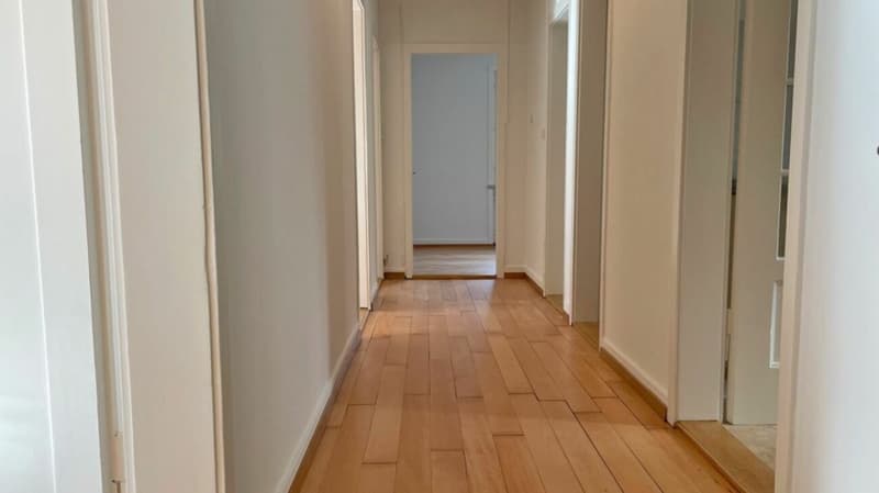 Appartement 4 pièces à la limite de la vieille ville près du Rhin (RDC gauche) (8)