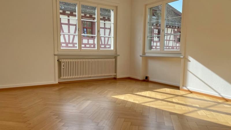 Appartement 4 pièces à la limite de la vieille ville près du Rhin (RDC gauche) (3)