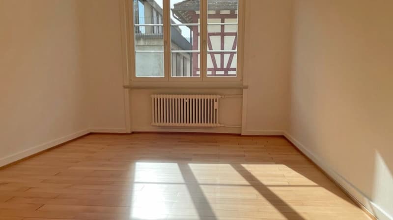 Appartement 4 pièces à la limite de la vieille ville près du Rhin (RDC gauche) (5)
