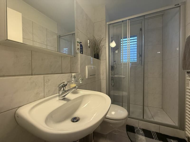 Very well-maintained 4.5-room garden apartment (15)