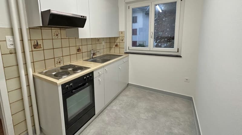 Appartement 4 pièces dans un bon emplacement (1er étage gauche) (3)