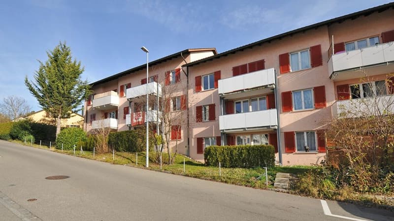 Appartement 4 pièces dans un bon emplacement (1er étage gauche) (2)