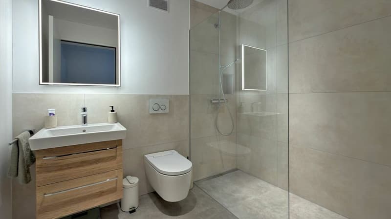 Modern 3.5-room apartment with two balconies and a magnificent view (10)