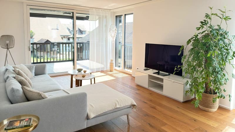 Modern 3.5-room apartment with two balconies and a magnificent view (2)
