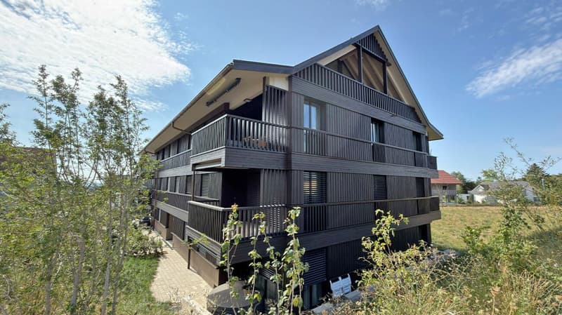 Modern 3.5-room apartment with two balconies and a magnificent view (1)