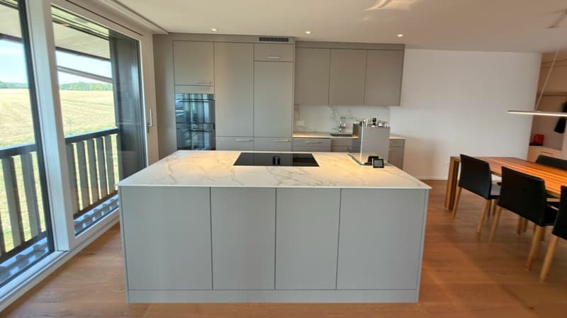 Modern 3.5-room apartment with two balconies and a magnificent view (6)