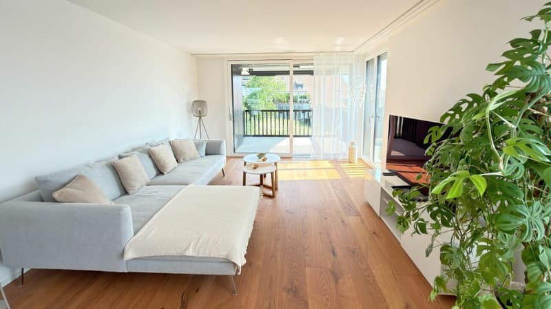 Modern 3.5-room apartment with two balconies and a magnificent view (3)