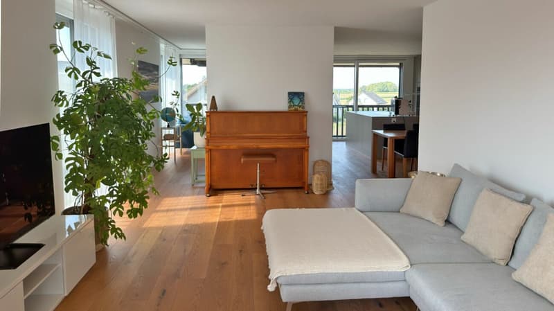 Modern 3.5-room apartment with two balconies and a magnificent view (4)