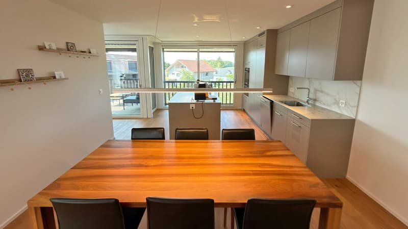 Modern 3.5-room apartment with two balconies and a magnificent view (5)