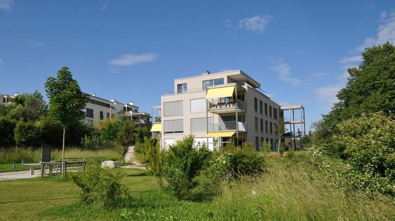 Vielseitig nutzbarer Disporaum (D4) (1)