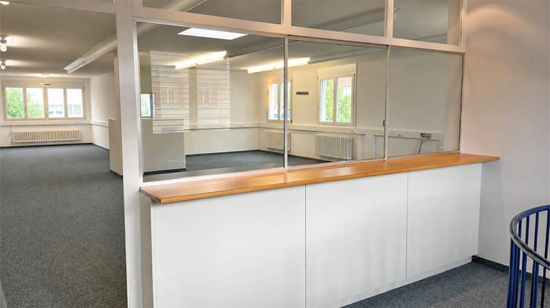 Attraktive Gewerbefläche mit ca. 130 m² - flexibel nutzbar an der Güterstrasse 6 in Feuerthalen (2)