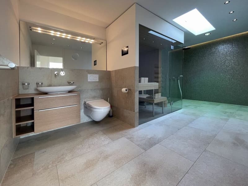 H 3.1 exklusive  4 ½-Penthousewohnung mit schönster Seesicht (13)