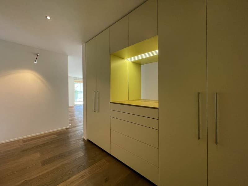 H 3.1 exklusive  4 ½-Penthousewohnung mit schönster Seesicht (4)
