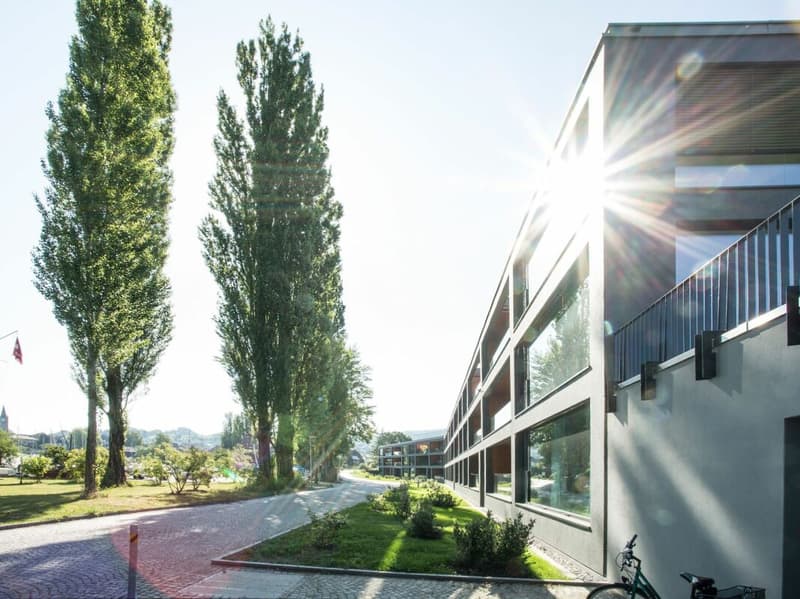 H 3.1 exklusive  4 ½-Penthousewohnung mit schönster Seesicht (17)